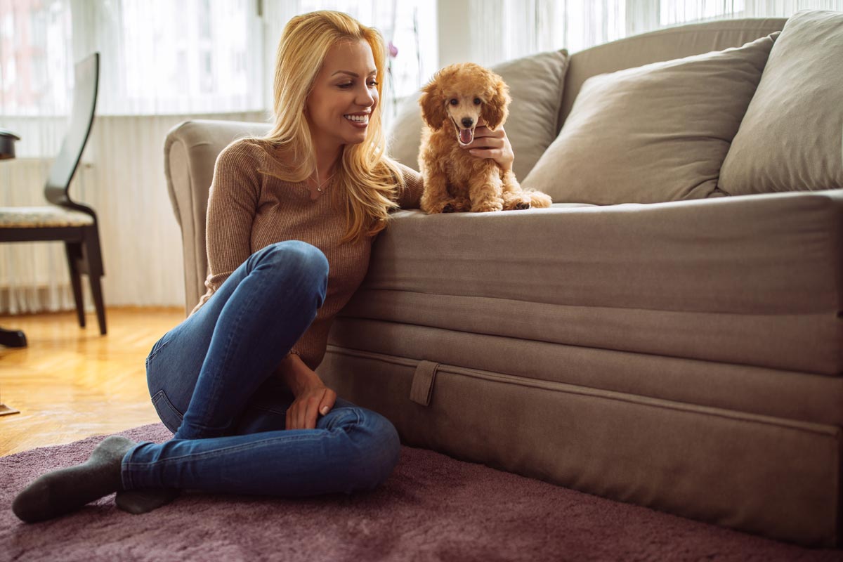 Top Tips For Pet-Proofing Your Home